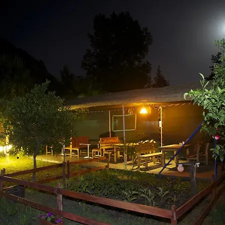 Kamp alanı Aylak Yasam Kamp *
