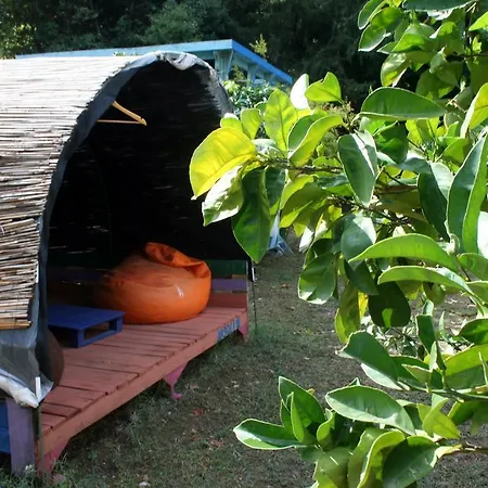 Aylak Yasam Kamp Camping