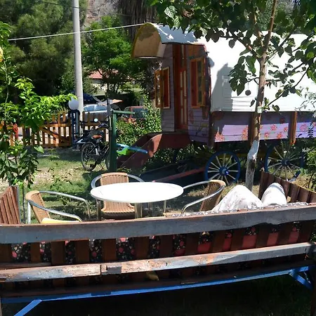 Kamp alanı Aylak Yasam Kamp *