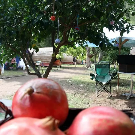 Aylak Yasam Kamp Camping Tekirova