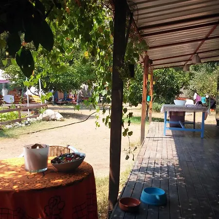 Aylak Yasam Kamp Kamp alanı *